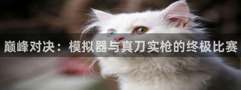 多彩娱乐是什么：巅峰对决：模拟器与真刀实枪的终极比赛