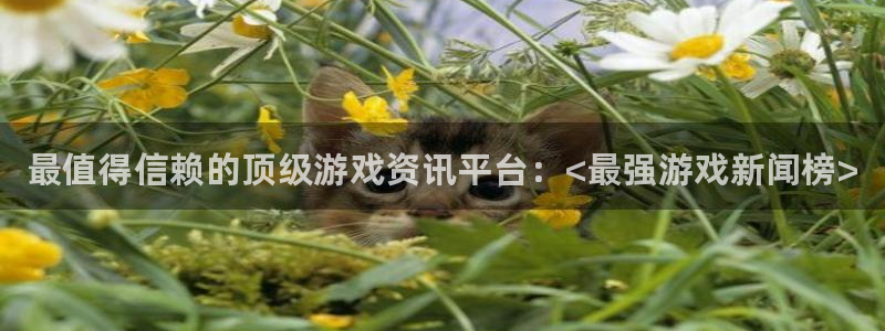 手机版多彩娱乐客户端下载：最值得信赖的顶级游戏资讯平台：<最