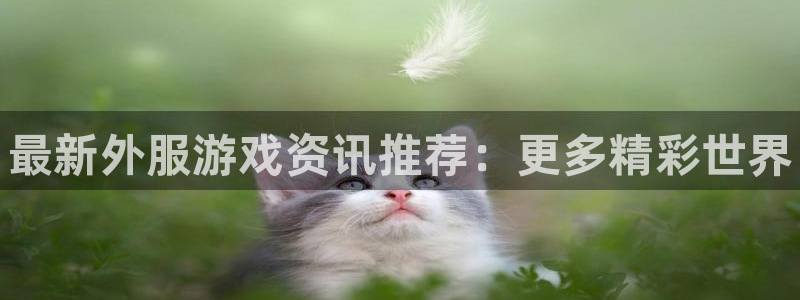多彩娱乐登陆测速：最新外服游戏资讯推荐：更多精彩世界