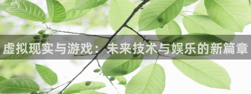多彩娱乐注册平台：虚拟现实与游戏：未来技术与娱乐的新篇章