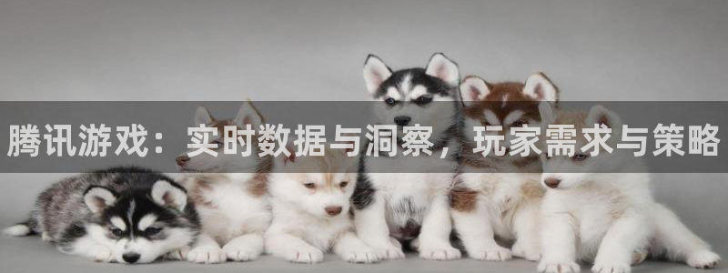 多彩娱乐官方登录网址：腾讯游戏：实时数据与洞察，玩家需求与策