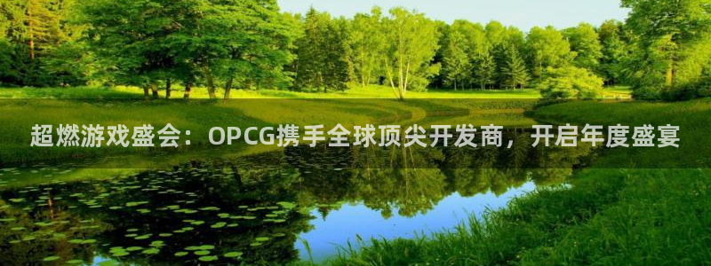 多彩娱乐游戏：超燃游戏盛会：OPCG携手全球顶尖开发商，开启