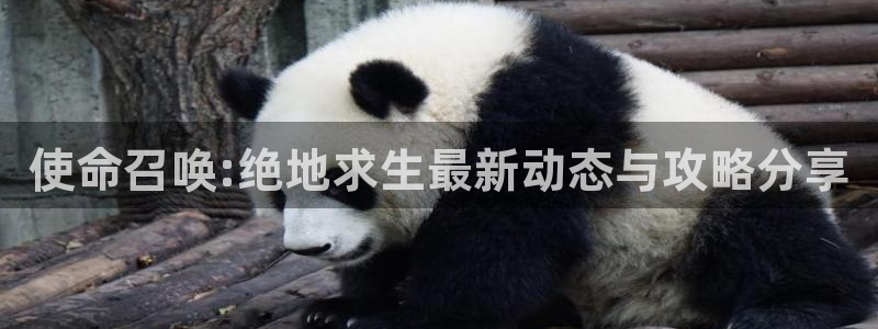 多彩娱乐平台官方网站：使命召唤:绝地求生最新动态与攻略分享