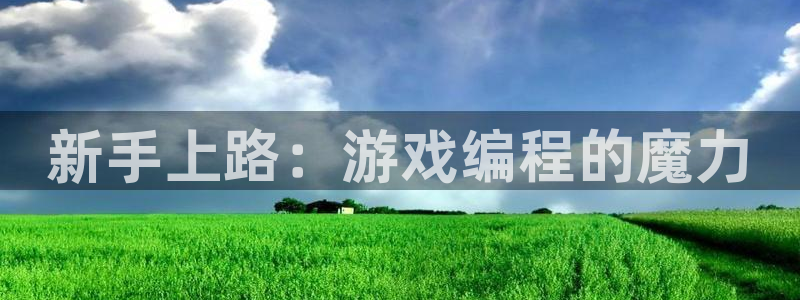 多彩娱乐登陆测速：新手上路：游戏编程的魔力